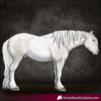 Horse Color:Platinum Silver Sable Champagne Dun Tobiano Rabicano 