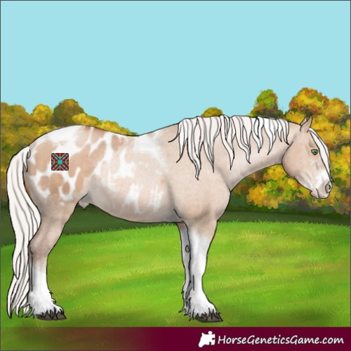 Horse Color:Silver Brown Pearl Dun Sabino Tobiano Appaloosa Rabicano 