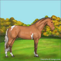 Horse Color:Silver Bay Roan Tobiano Varnish 