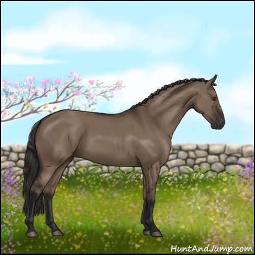Horse Color:Liver Red Dun Rabicano