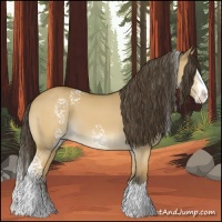 Horse Color:White Spotted Buckskin Dun Splash 