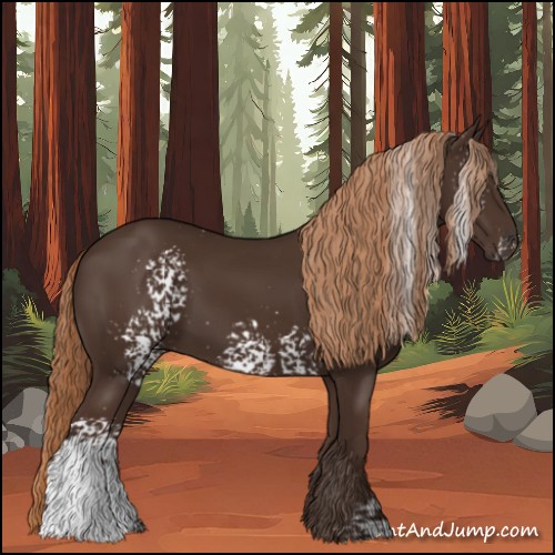 Horse Color:White Spotted Liver Chestnut