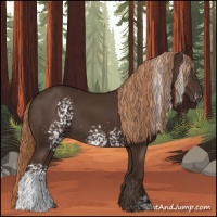 Horse Color:White Spotted Liver Chestnut 