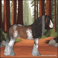 Horse Color:White Spotted Liver Chestnut Splash 
