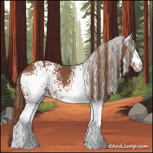 Horse Color:White Spotted Chestnut