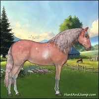 Horse Color:Watercolor Silver Bay Dun