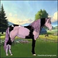 Horse Color:Watercolor Perlino Sabino Tobiano 