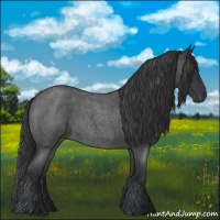 Horse Color:Blue Roan 