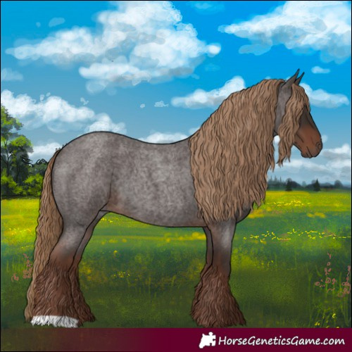 Horse Color:Liver Red Roan 