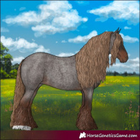 Horse Color:Liver Red Roan 