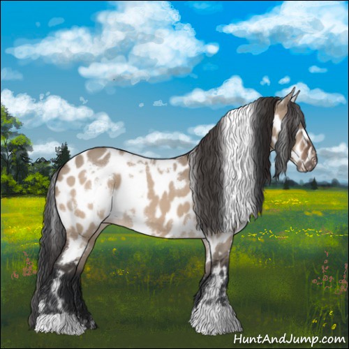 Horse Color:White Spotted Brown Dun Leopard 