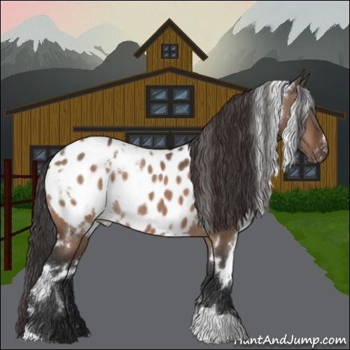 Horse Color:White Spotted Bay Dun Appaloosa 