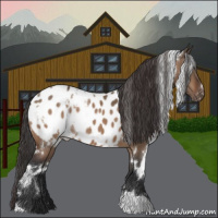 Horse Color:White Spotted Bay Dun Appaloosa