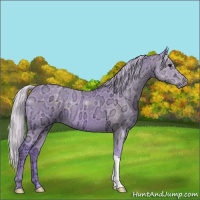 Horse Color:Watercolor Silver Black Ice 