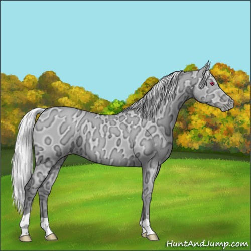 Horse Color:Silver Black Chinchilla Ice Pearl 