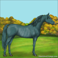 Horse Color:Watercolor Smoky Black Chinchilla Rabicano 