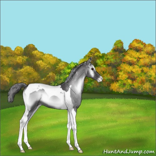 Horse Color:Smoky Blue Onyx Chinchilla Tobiano Varnish