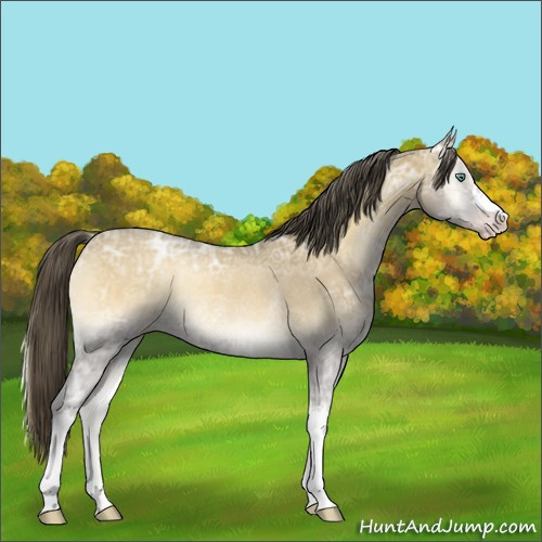 Horse Color:Classic Cream Champagne Ice Onyx Rabicano 