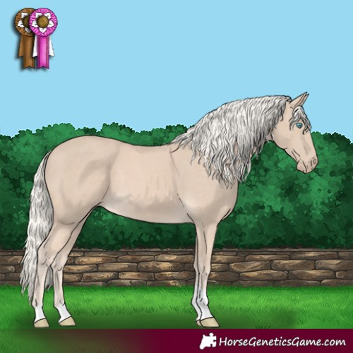Horse Color:Cremello Tobiano 