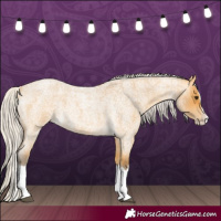 Horse Color:Silver Buckskin Roan Splash 
