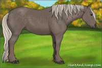 Horse Color:Silver Black 