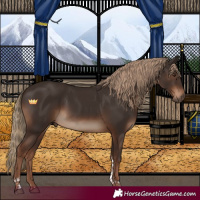 Horse Color:Liver Chestnut Tobiano 