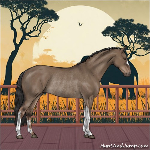 Horse Color:Liver Red Dun Rabicano 