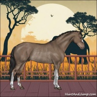 Horse Color:Liver Red Dun Rabicano 