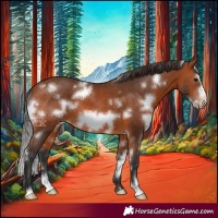 Horse Color:White Spotted Bay Frame 