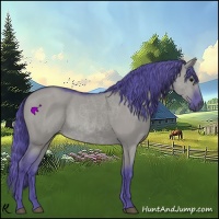 Horse Color:Watercolor Grullo 