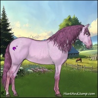 Horse Color:Watercolor Red Dun 