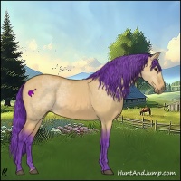 Horse Color:Watercolor Bay Dun 