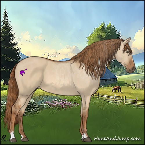 Horse Color:Red Dun Sabino