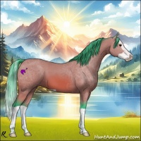 Horse Color:Watercolor Bay Splash