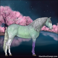 Horse Color:Watercolor White Spotted Silver Bay Dun 