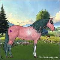 Horse Color:Watercolor Bay Dun 