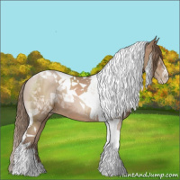 Horse Color:Black Pearl Tobiano 