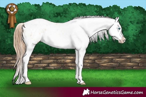 Horse Color:White Spotted Smoky Grullo Pearl Blanket 