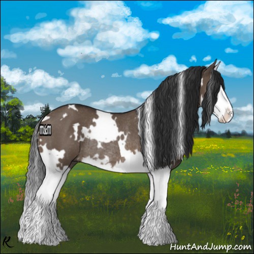 Horse Color:White Spotted Brown Dun Splash Rabicano