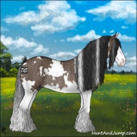 Horse Color:White Spotted Brown Dun Splash Rabicano 