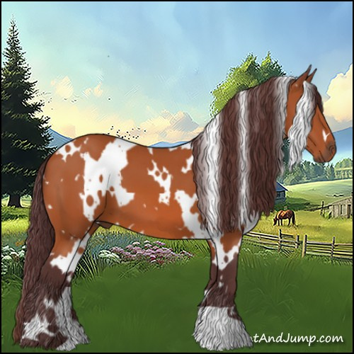 Horse Color:White Spotted Chocolate Bay 