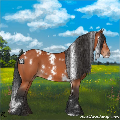 Horse Color:White Spotted Brown 