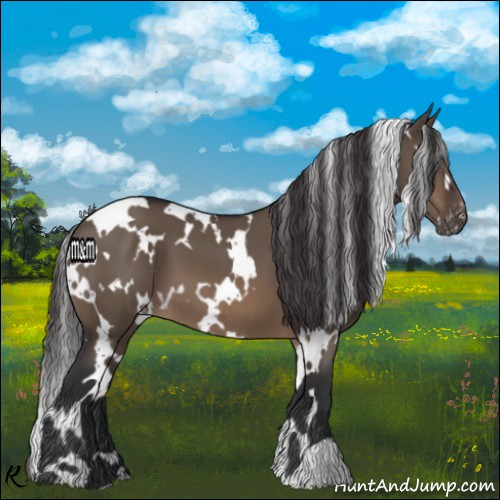 Horse Color:White Spotted Brown Dun Varnish 