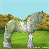 Horse Color:Watercolor Silver Grullo Tobiano 