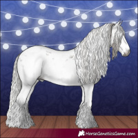 Horse Color:Gray White Spotted Silver Brown Sabino Splash Appaloosa Rabicano 