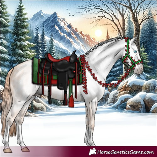Horse Color:Gray Perlino Sabino 