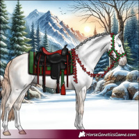 Horse Color:Gray Perlino Sabino