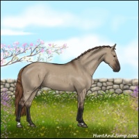 Horse Color:Liver Red Dun Rabicano 