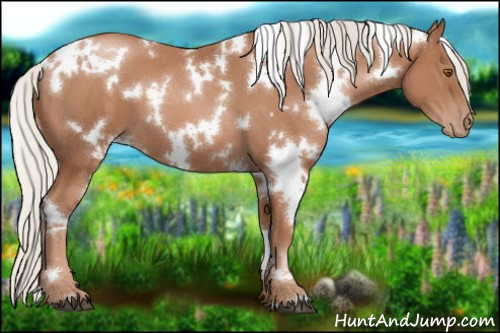Horse Color:White Spotted Silver Black Pearl 