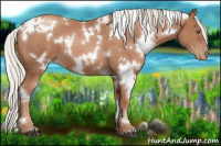 Horse Color:White Spotted Silver Black Pearl 